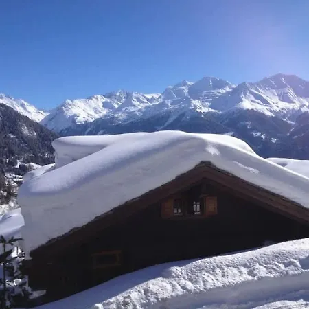 Lion D'or Chalet *